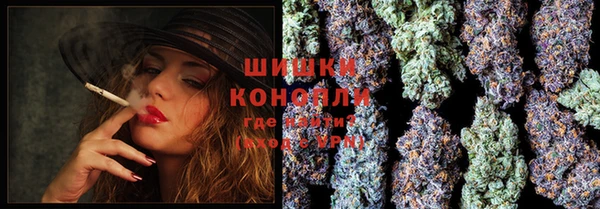 spice Верхний Тагил