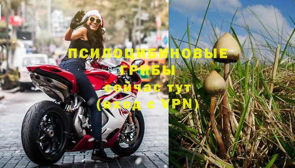 каннабис Верея