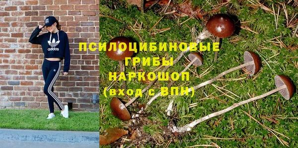 spice Верхний Тагил
