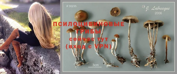 spice Верхний Тагил